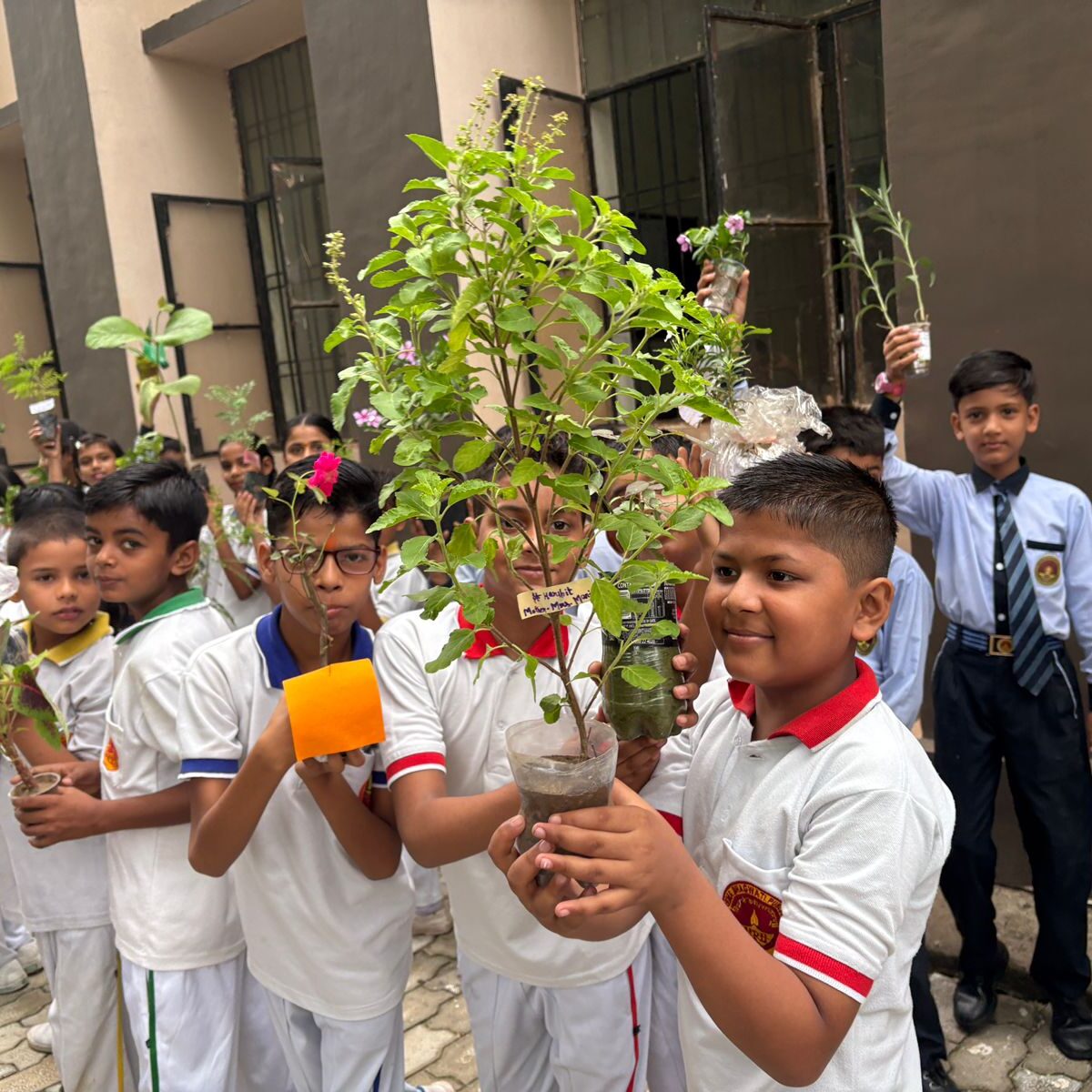 WhatsApp Image 2025-07-26 at 11.51.48 AM